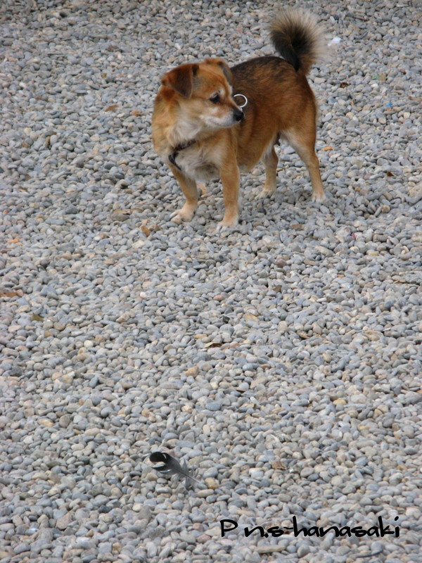 Img_04742_2