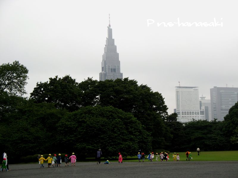 IMG_3120-2