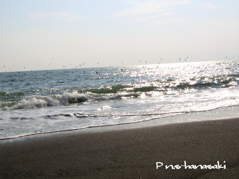 IMG_3727-2