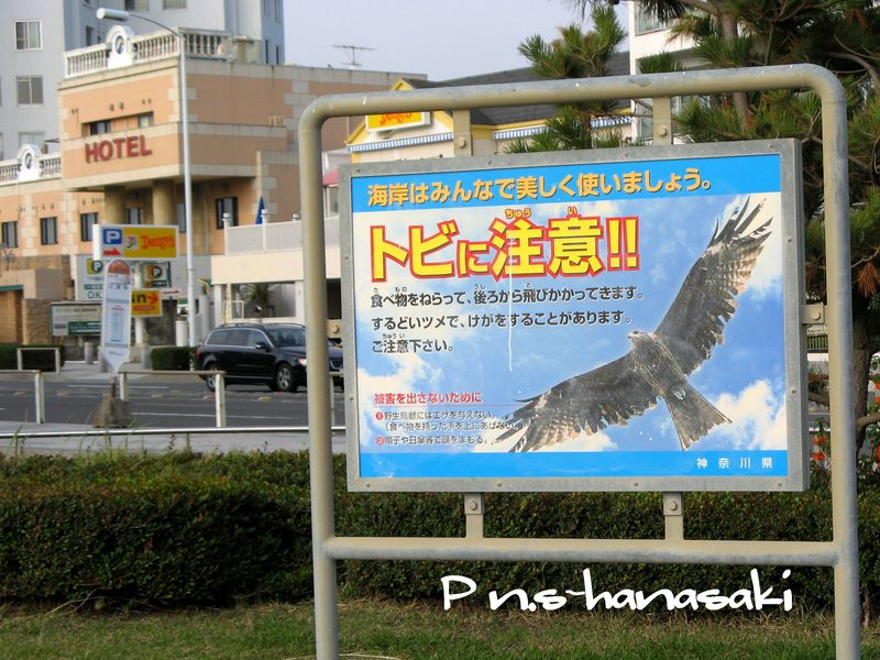IMG_3748-2