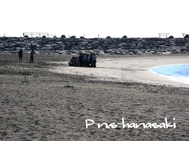 IMG_4168-3