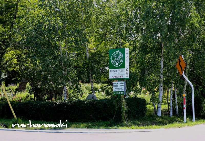 594a13532_2