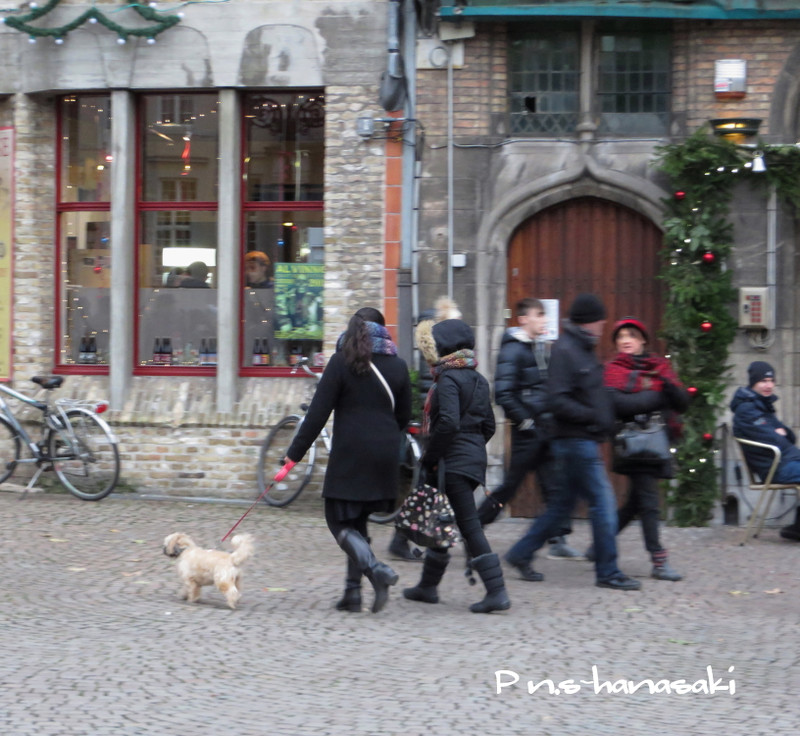 Img_48066_3 Img_48066_3
